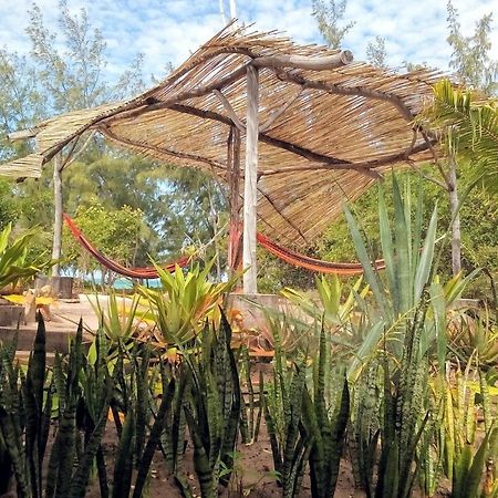 Nzuwa Lodge Pemba Zewnętrze zdjęcie