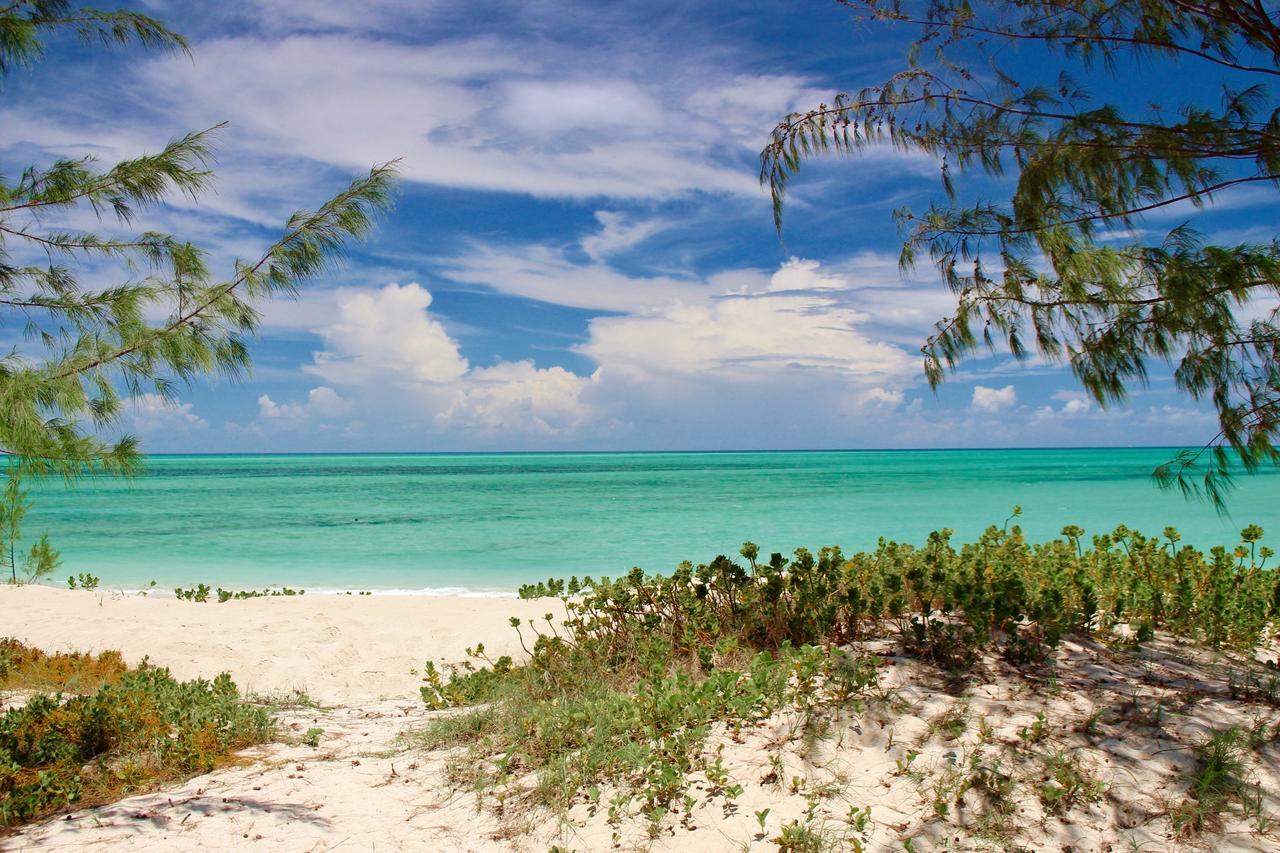 Nzuwa Lodge Pemba Zewnętrze zdjęcie
