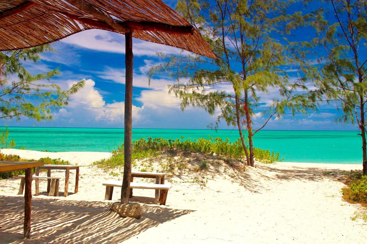Nzuwa Lodge Pemba Zewnętrze zdjęcie