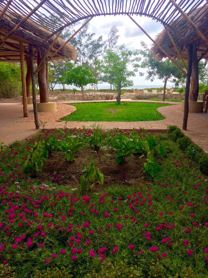 Nzuwa Lodge Pemba Zewnętrze zdjęcie