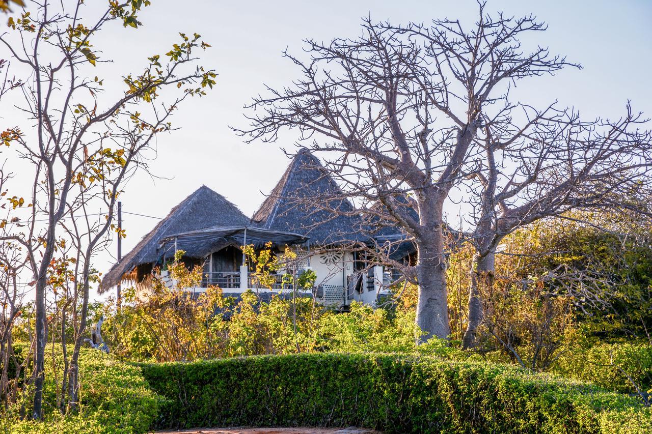 Nzuwa Lodge Pemba Zewnętrze zdjęcie
